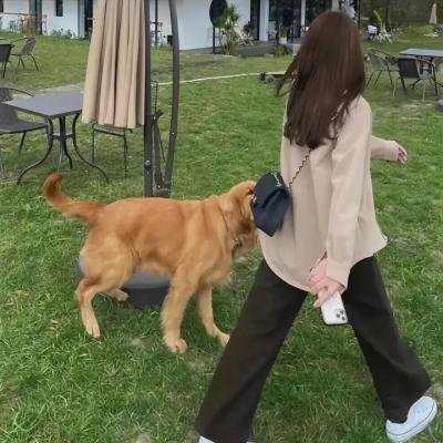 黑道战警